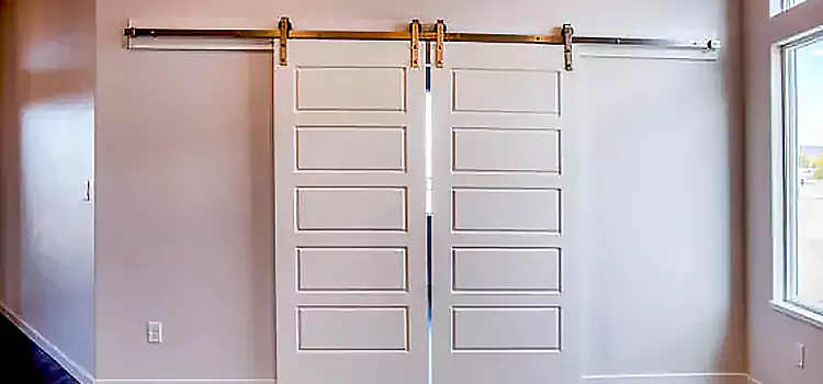 Glass Barn Door with Installation Hardware Kit Lewiston